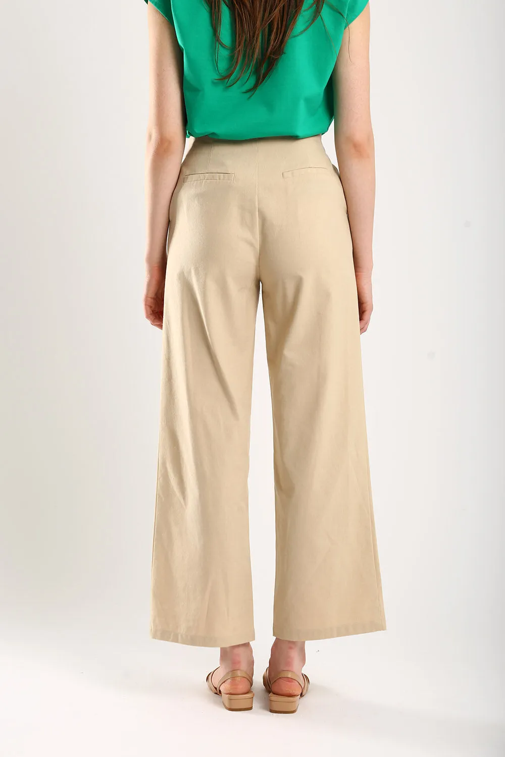 Lisa Classic Linen Wide Leg Pants in Beige